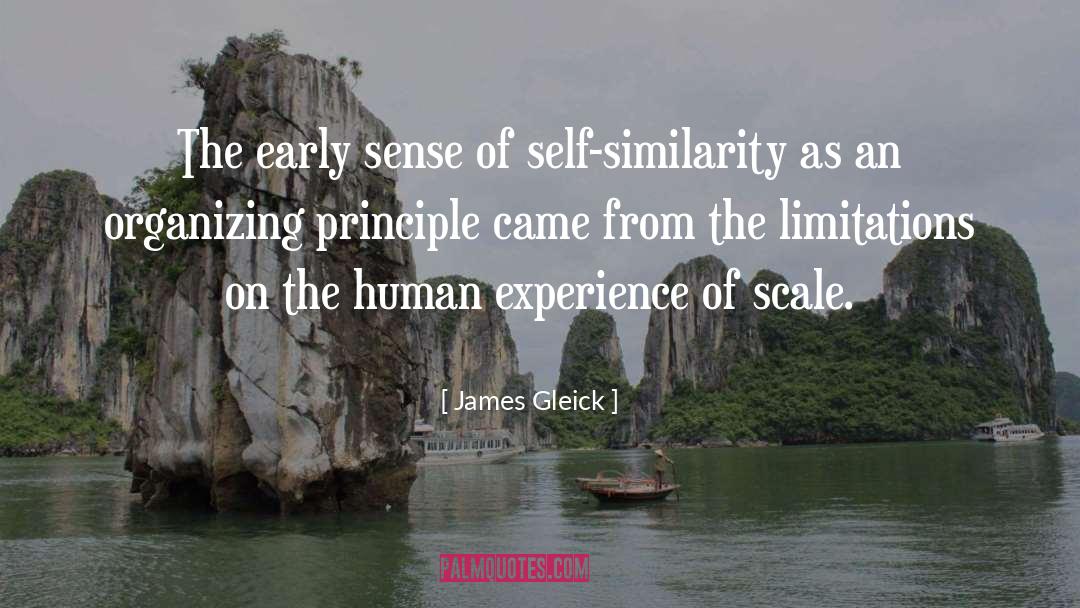 James Gleick Quotes: The early sense of self-similarity