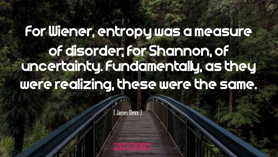 James Gleick Quotes: For Wiener, entropy was a