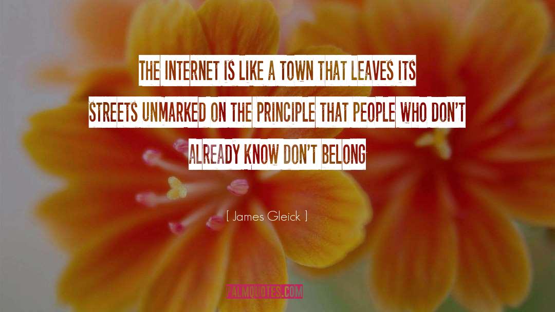 James Gleick Quotes: The Internet is like a