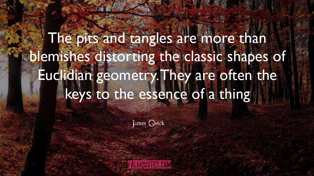 James Gleick Quotes: The pits and tangles are