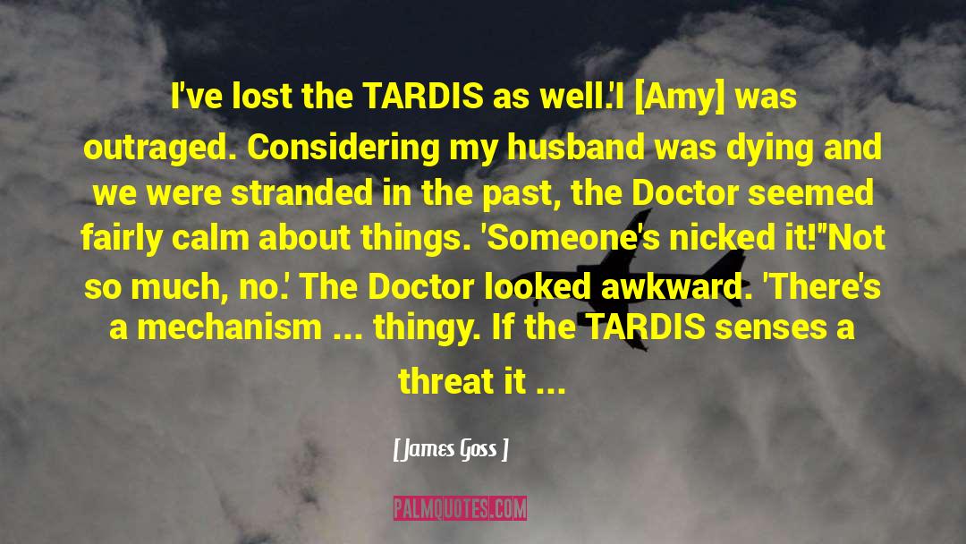 James Goss Quotes: I've lost the TARDIS as