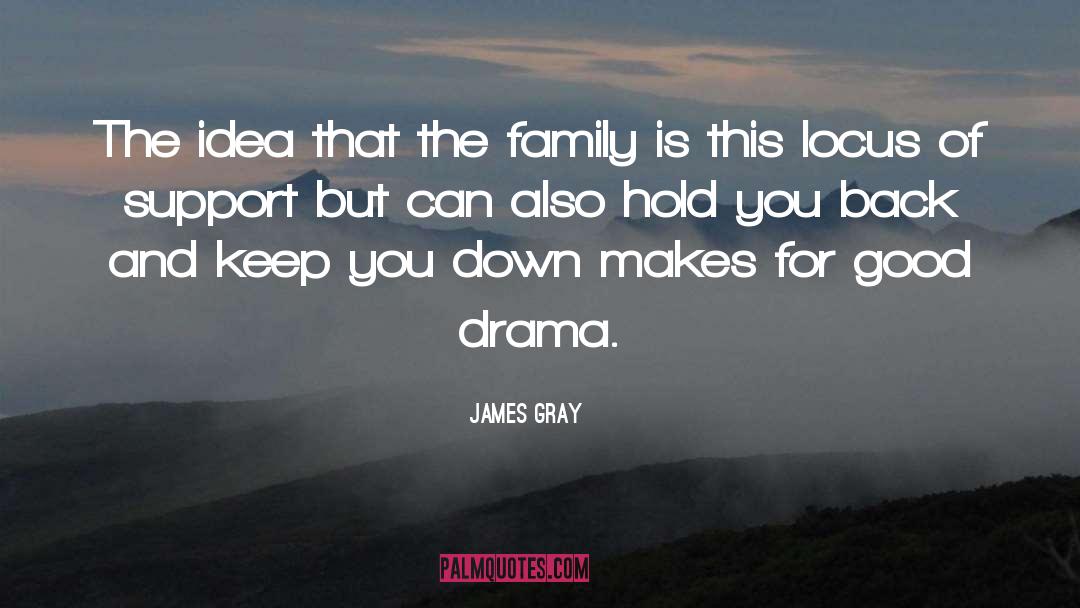 James Gray Quotes: The idea that the family