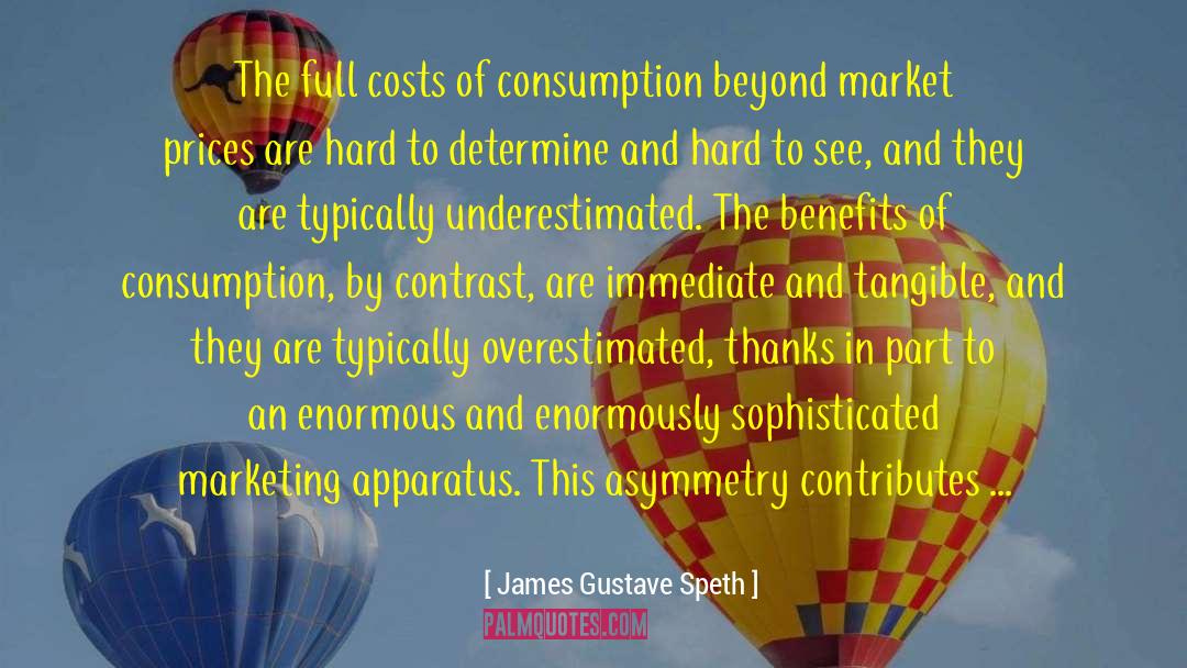 James Gustave Speth Quotes: The full costs of consumption