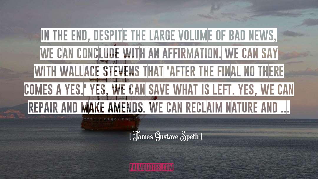 James Gustave Speth Quotes: In the end, despite the