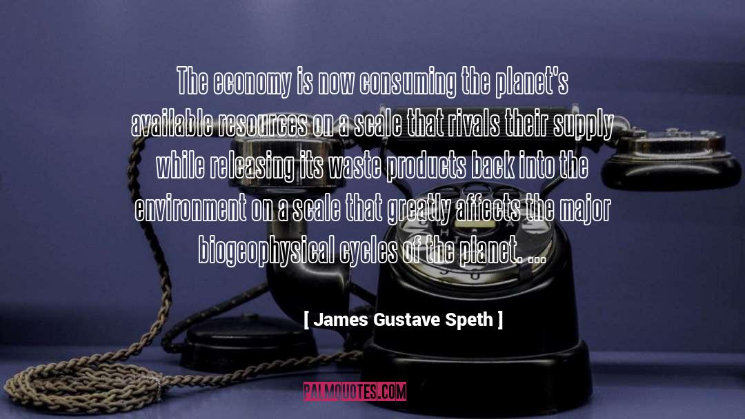 James Gustave Speth Quotes: The economy is now consuming