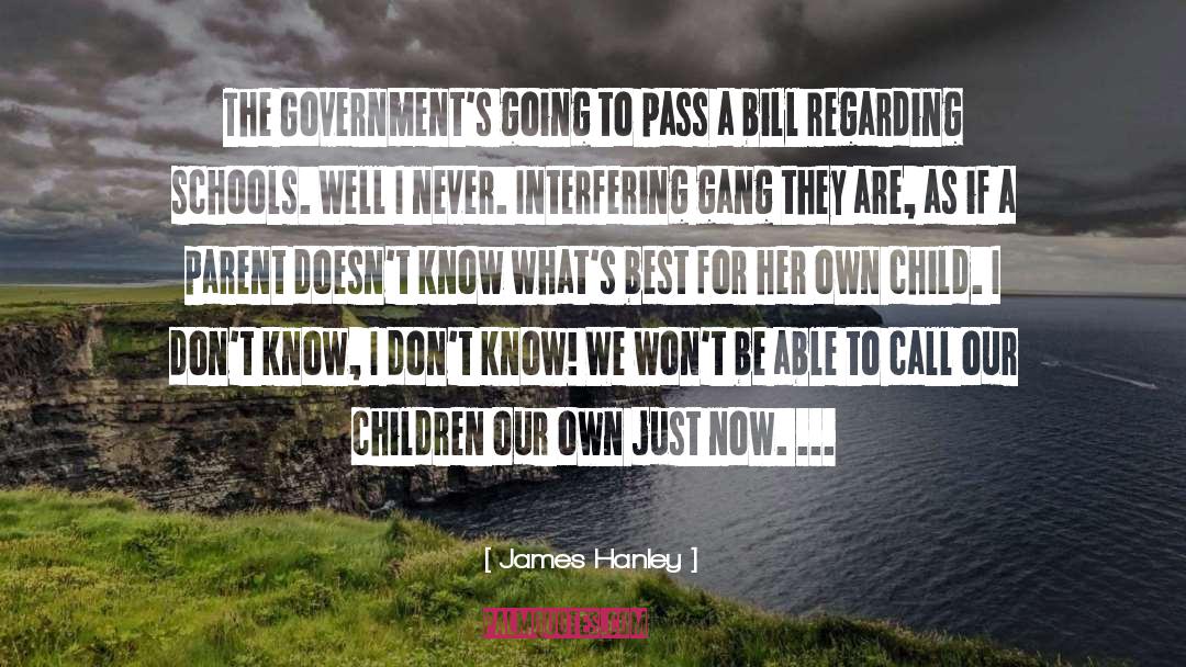 James Hanley Quotes: The Government's going to pass