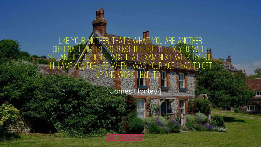 James Hanley Quotes: Like your mother. That's what