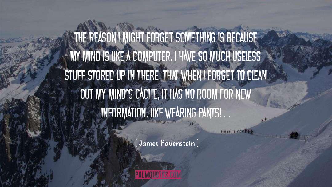 James Hauenstein Quotes: The reason I might forget