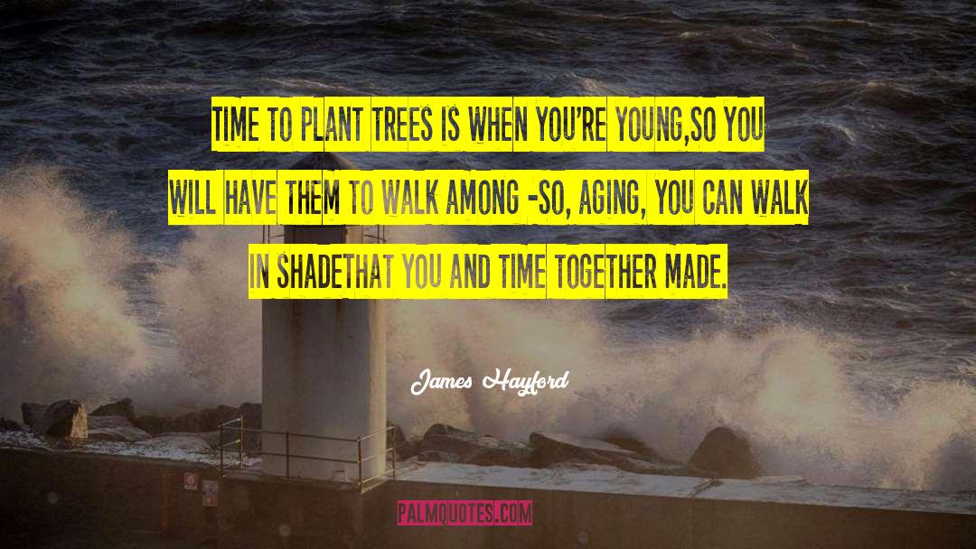 James Hayford Quotes: Time to plant trees is
