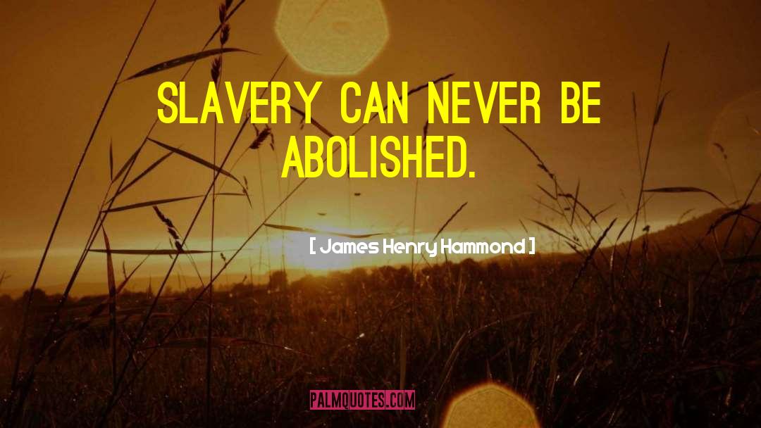 James Henry Hammond Quotes: Slavery can never be abolished.