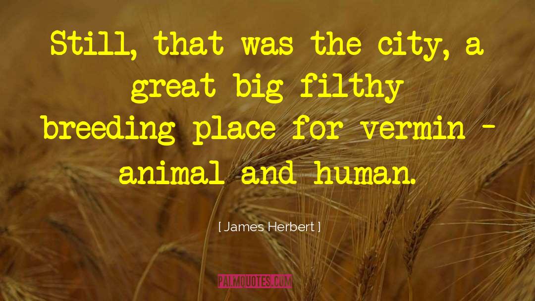 James Herbert Quotes: Still, that was the city,