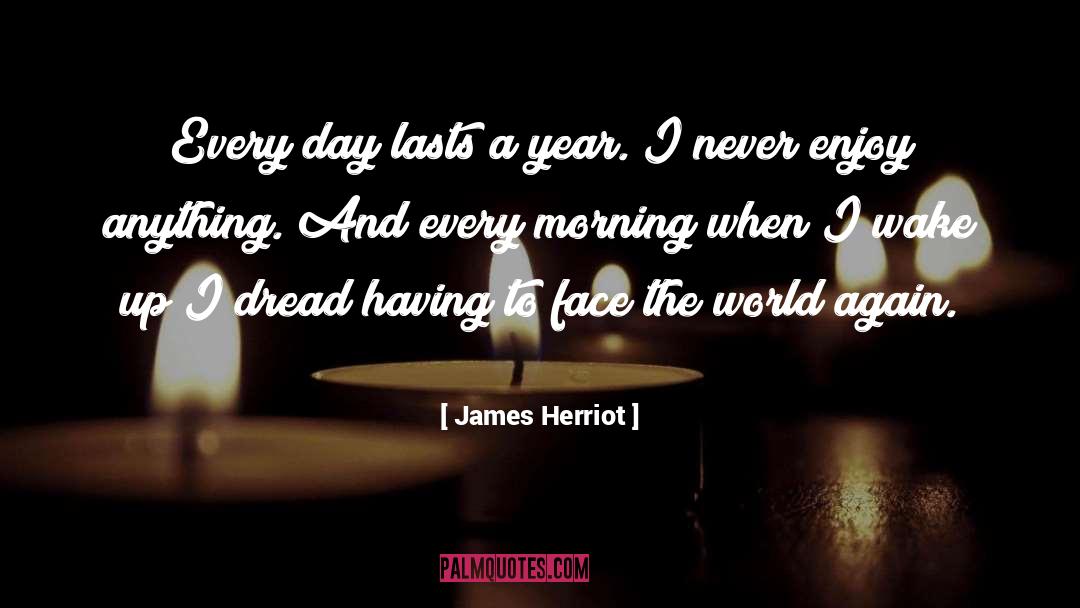 James Herriot Quotes: Every day lasts a year.