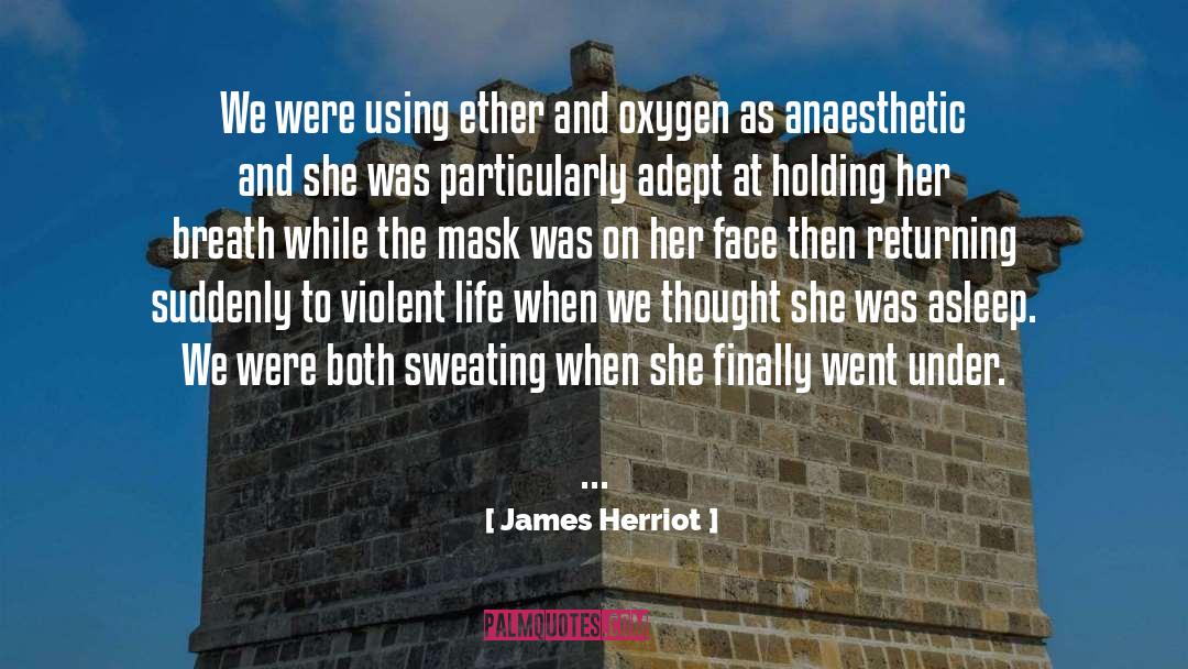 James Herriot Quotes: We were using ether and