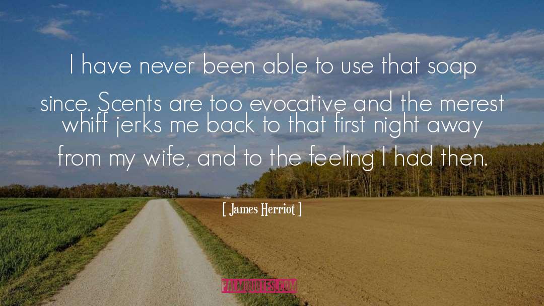 James Herriot Quotes: I have never been able