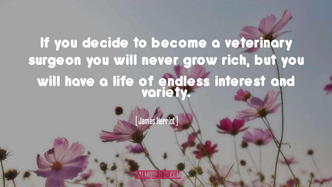 James Herriot Quotes: If you decide to become