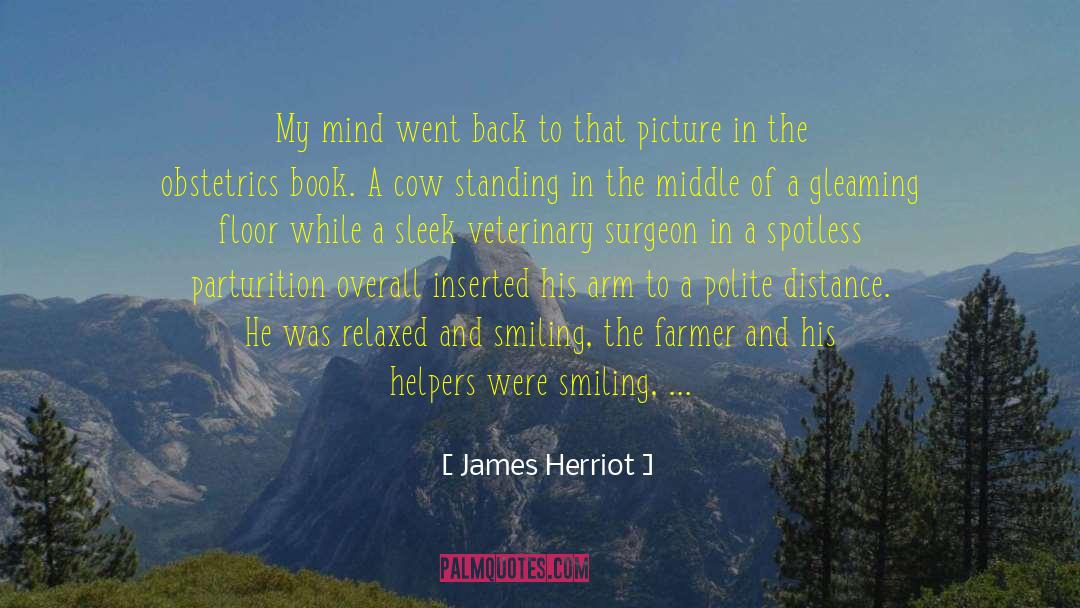 James Herriot Quotes: My mind went back to