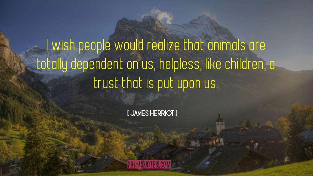 James Herriot Quotes: I wish people would realize