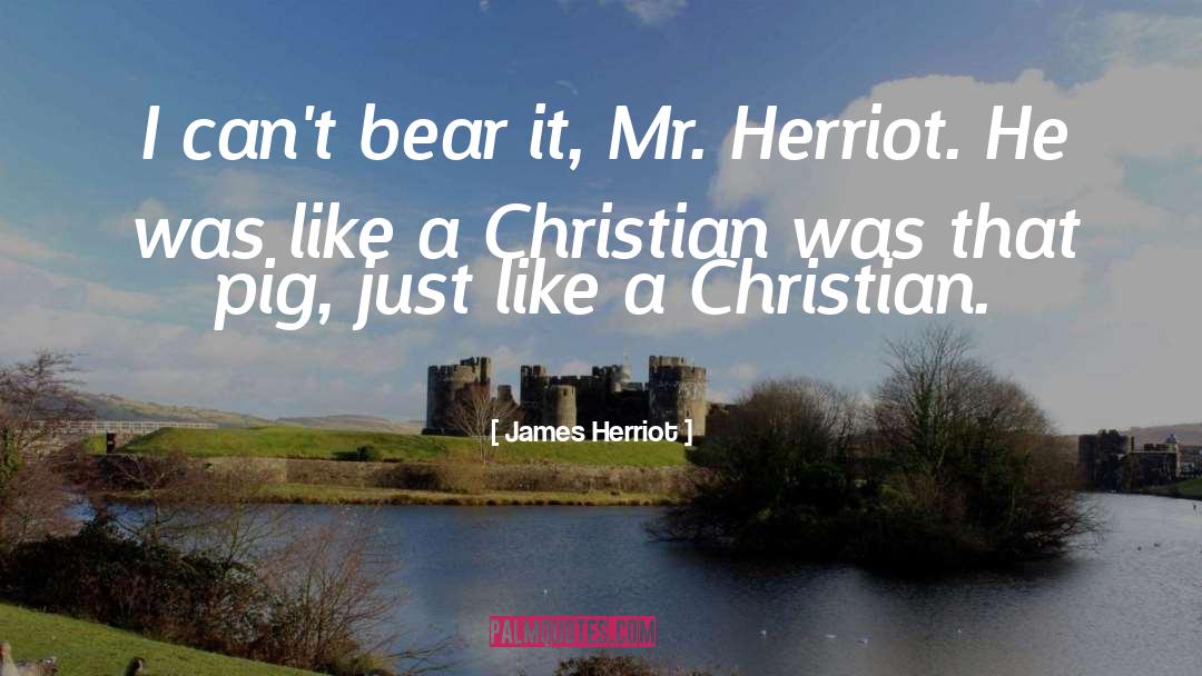 James Herriot Quotes: I can't bear it, Mr.