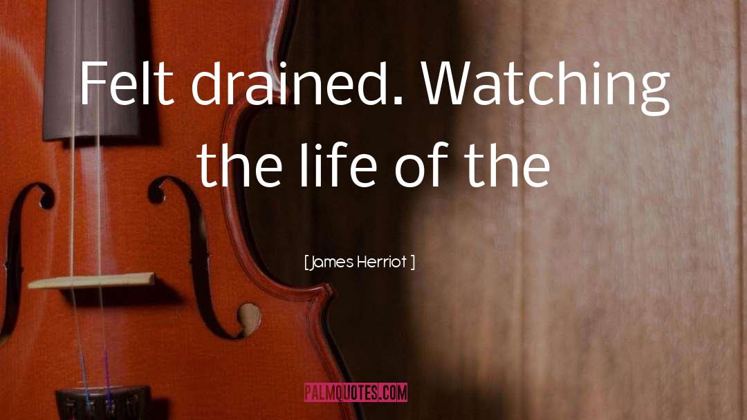 James Herriot Quotes: Felt drained. Watching the life