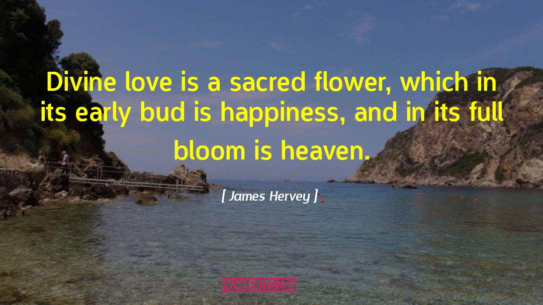 James Hervey Quotes: Divine love is a sacred