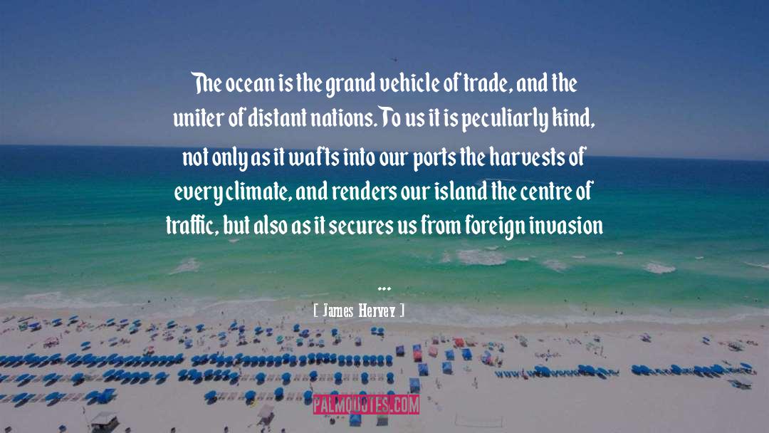 James Hervey Quotes: The ocean is the grand