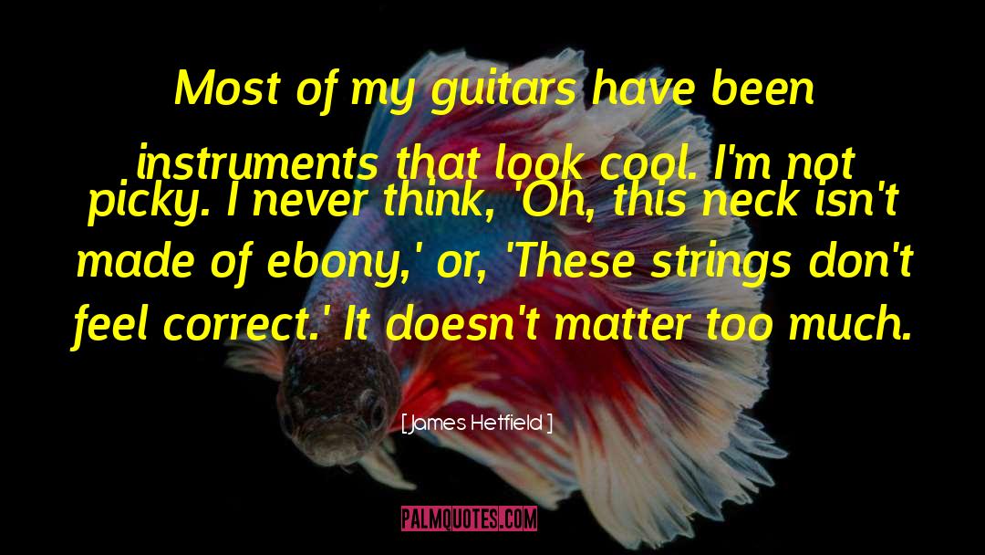 James Hetfield Quotes: Most of my guitars have