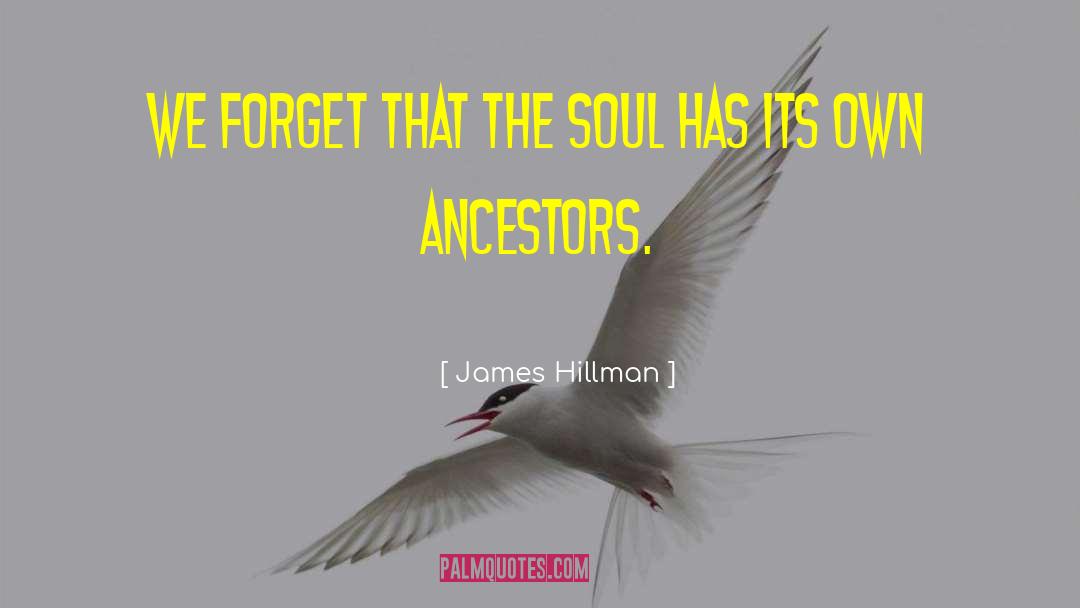 James Hillman Quotes: We forget that the soul