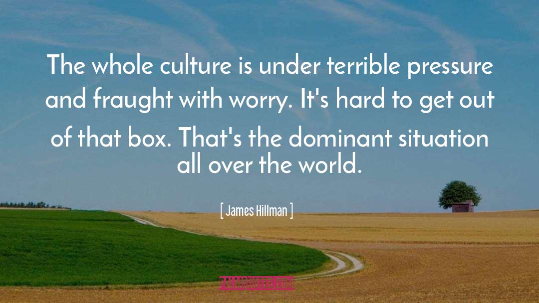 James Hillman Quotes: The whole culture is under