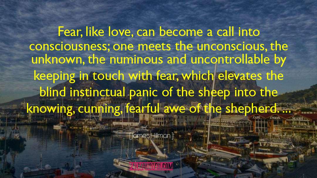 James Hillman Quotes: Fear, like love, can become