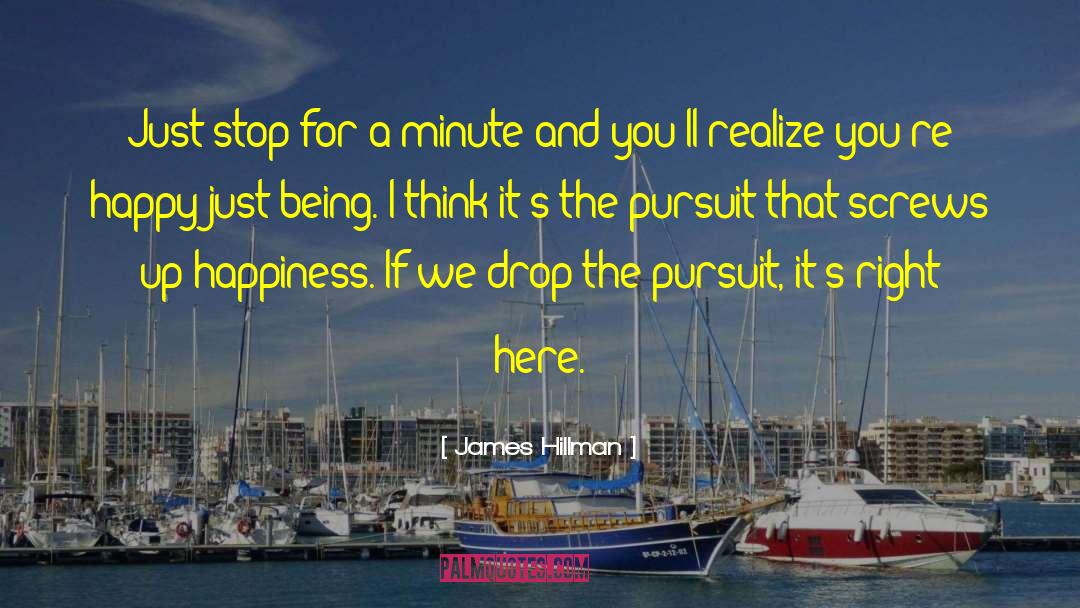 James Hillman Quotes: Just stop for a minute