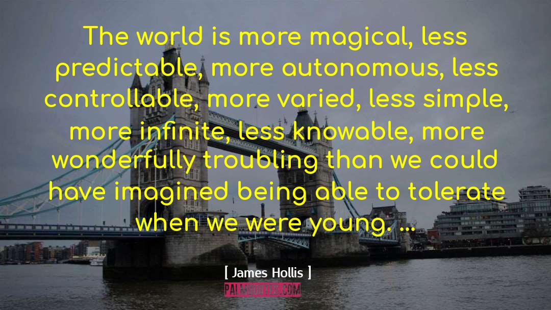 James Hollis Quotes: The world is more magical,