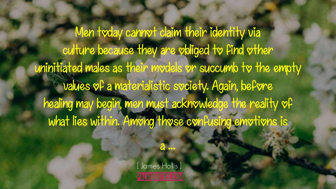 James Hollis Quotes: Men today cannot claim their