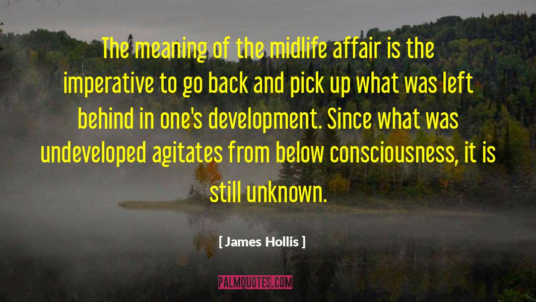 James Hollis Quotes: The meaning of the midlife