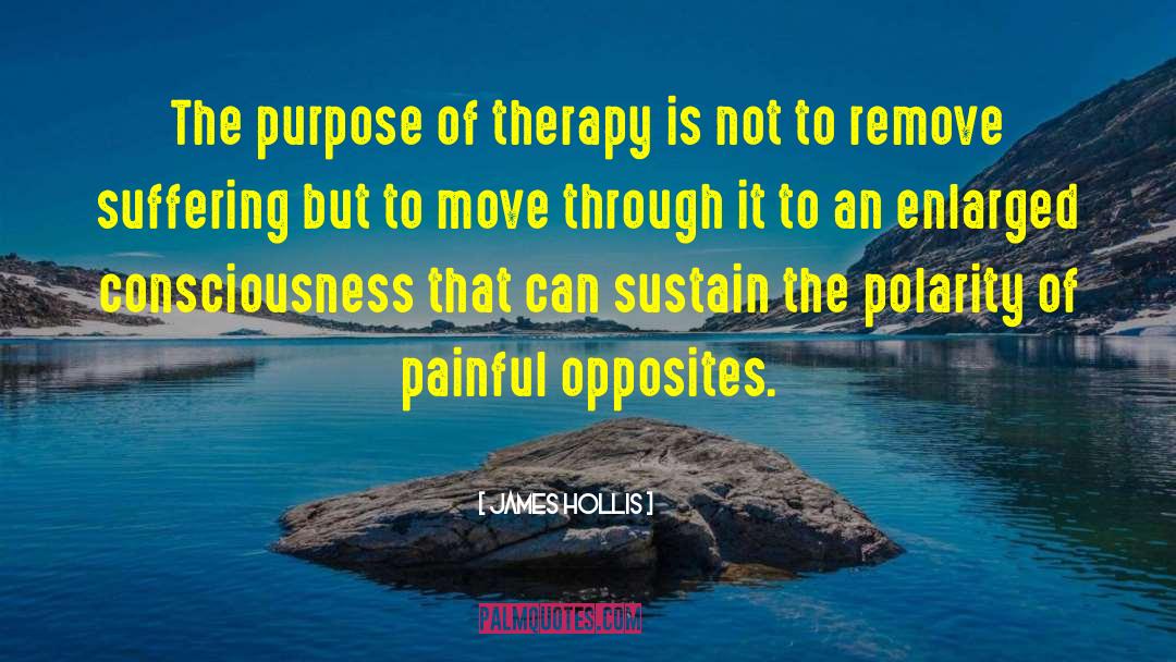 James Hollis Quotes: The purpose of therapy is
