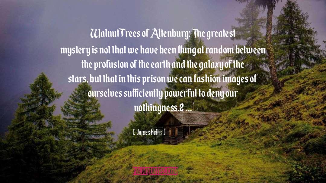 James Hollis Quotes: Walnut Trees of Altenburg: The