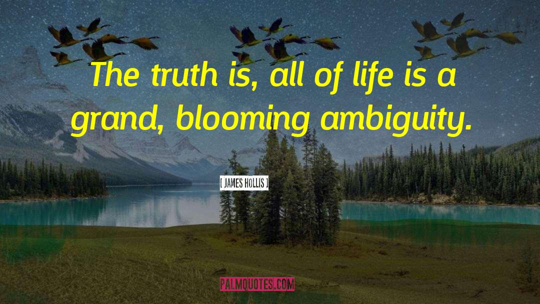 James Hollis Quotes: The truth is, all of