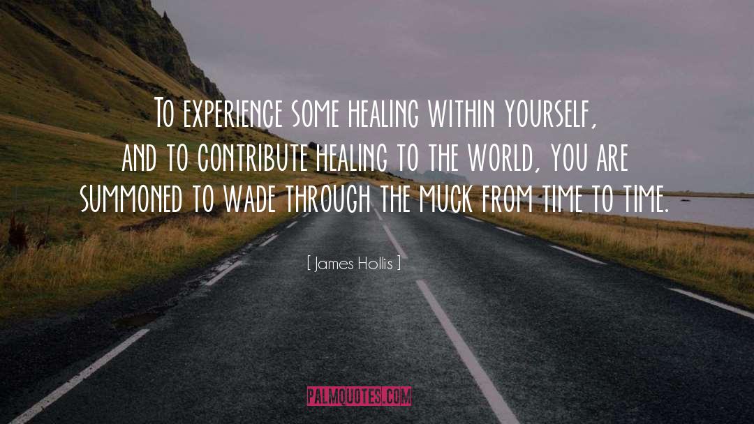 James Hollis Quotes: To experience some healing within