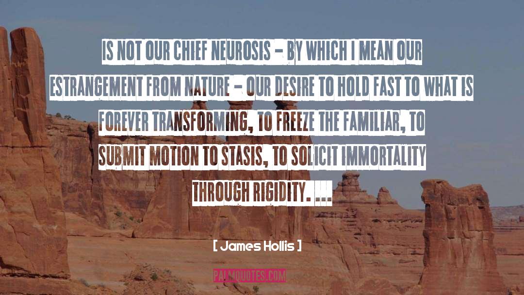 James Hollis Quotes: Is not our chief neurosis