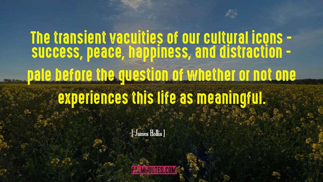 James Hollis Quotes: The transient vacuities of our