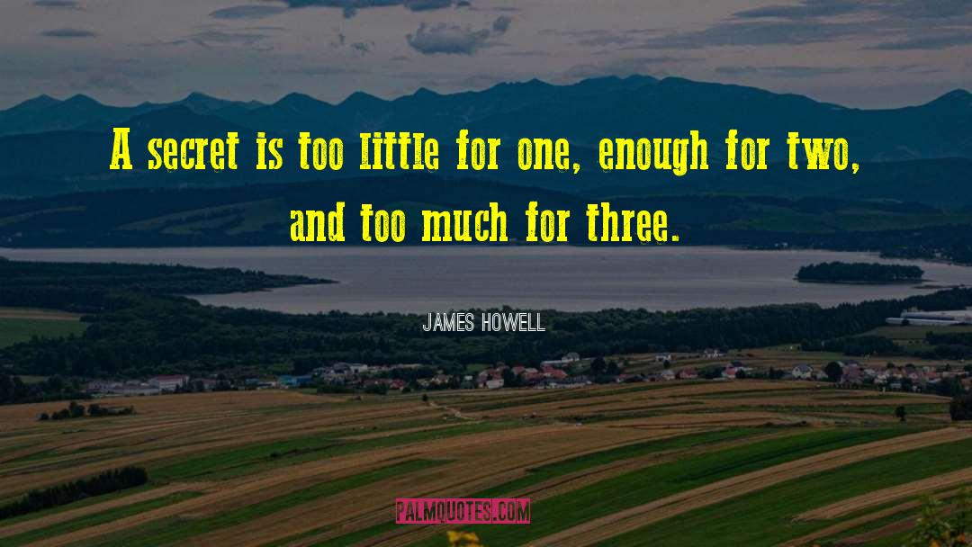 James Howell Quotes: A secret is too little