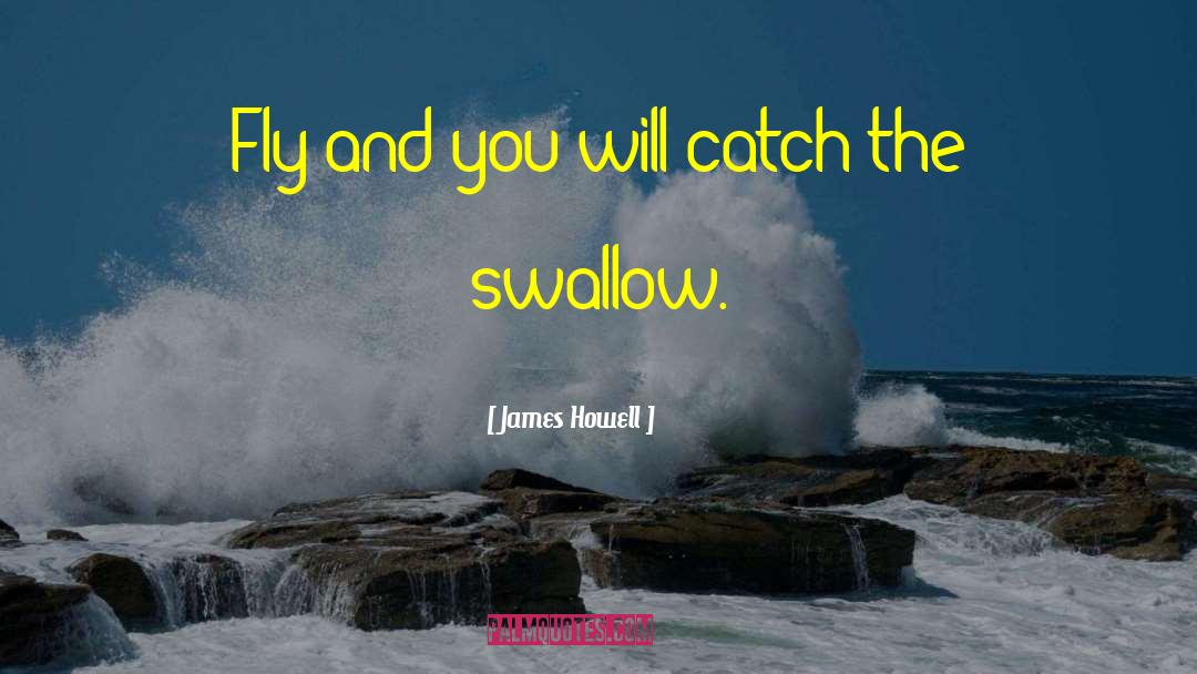 James Howell Quotes: Fly and you will catch
