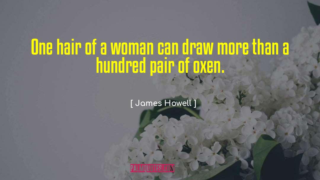 James Howell Quotes: One hair of a woman