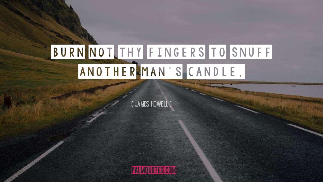 James Howell Quotes: Burn not thy fingers to
