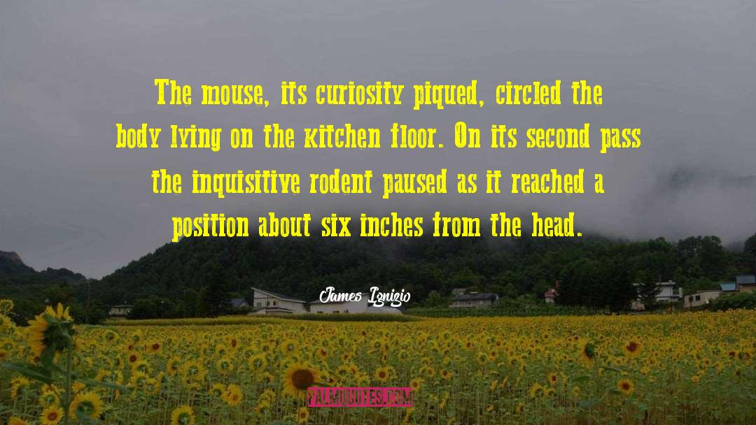 James Ignizio Quotes: The mouse, its curiosity piqued,