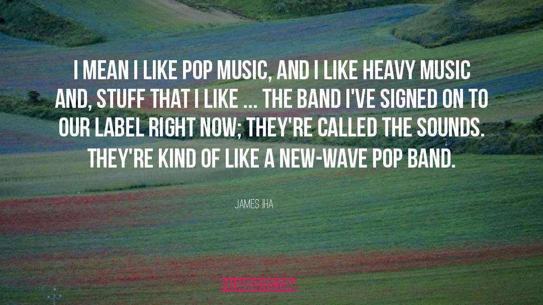 James Iha Quotes: I mean I like pop