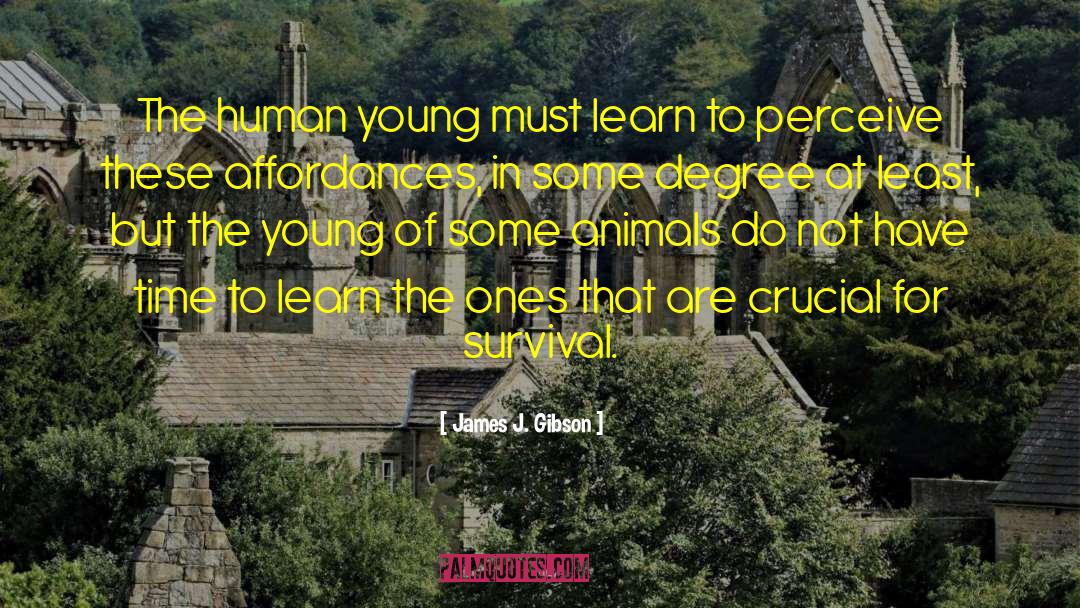 James J. Gibson Quotes: The human young must learn