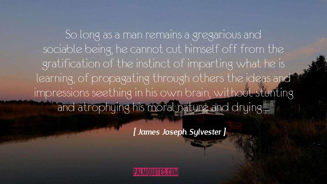 James Joseph Sylvester Quotes: So long as a man