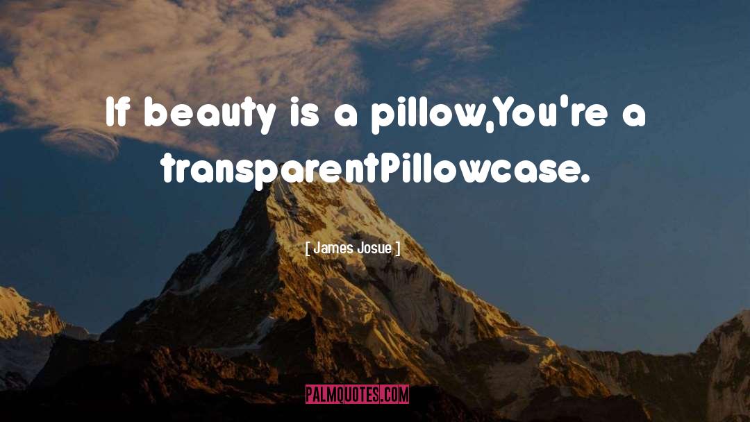 James Josue Quotes: If beauty is a pillow,<br>You're