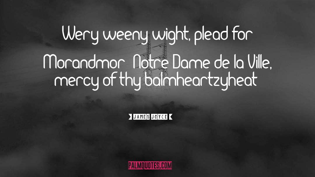 James Joyce Quotes: Wery weeny wight, plead for