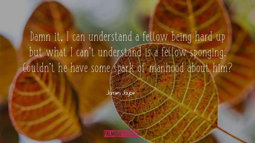 James Joyce Quotes: Damn it, I can understand